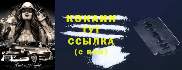 гидропоника Карталы