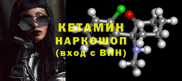 шишки Карпинск