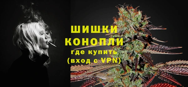 ГАЛЛЮЦИНОГЕННЫЕ ГРИБЫ Касимов