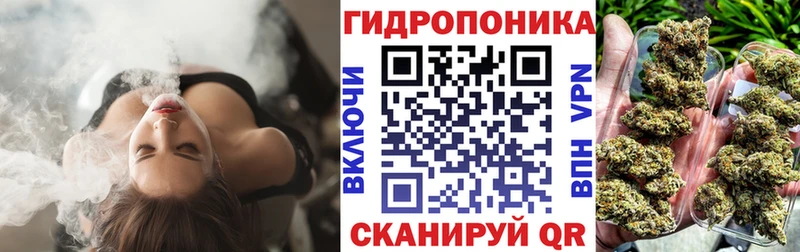 Шишки марихуана Amnesia  где купить наркоту  Можайск 